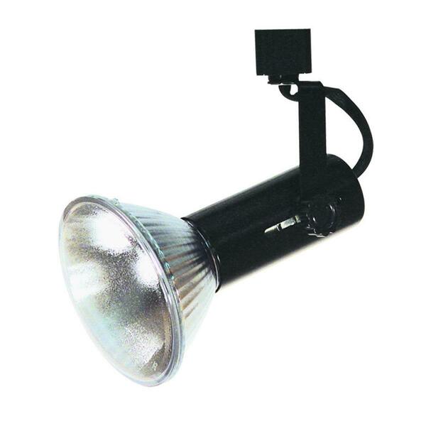 Radiant Light Adjustable Line Voltage Spot Light, Black RA194479